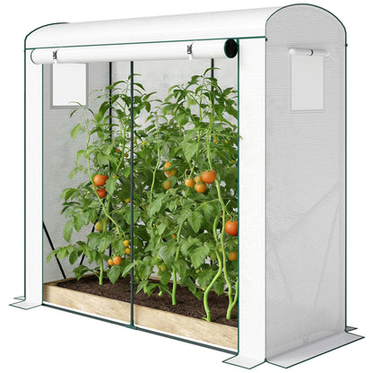 Garden Bed With Mini Greenhouse