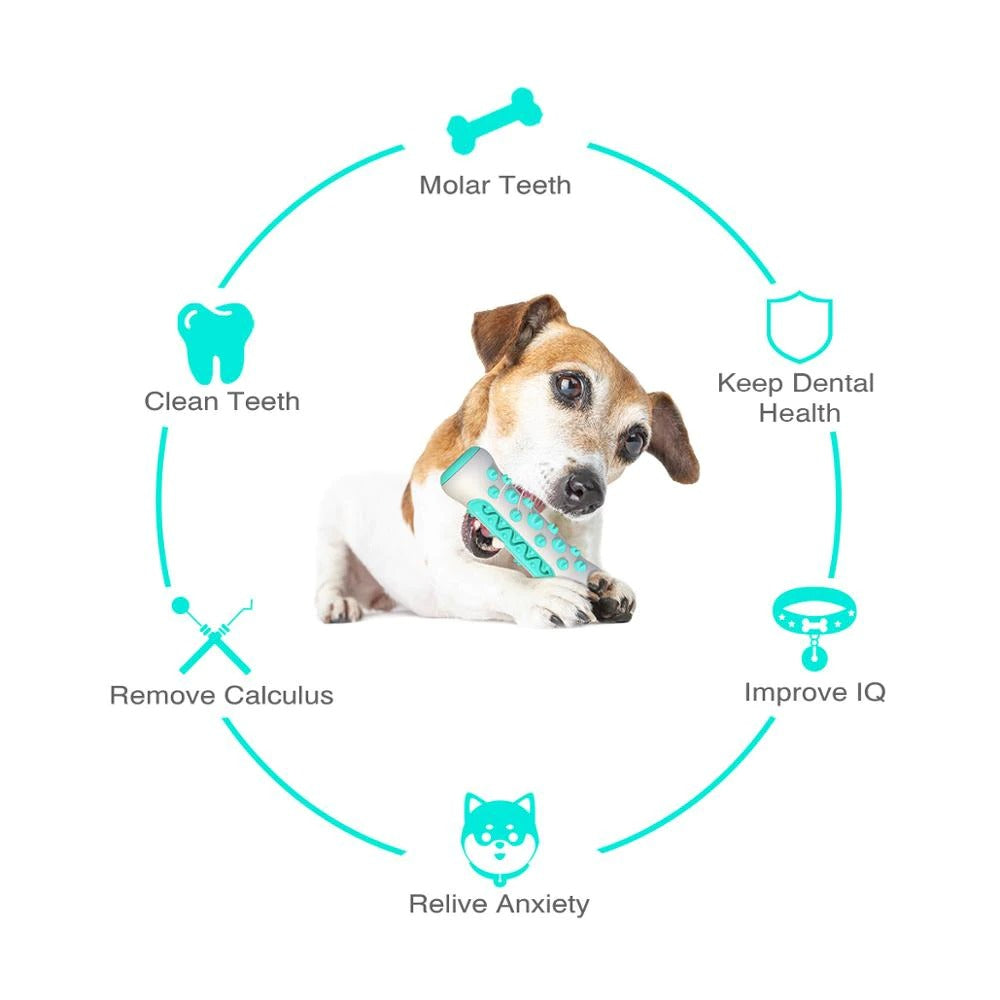 Dog Squeaky Toys For Aggressive Chewers, Tough Toothbrush Dog Chew Toy - view 6