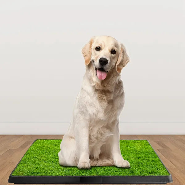 Dog Toilet Indoor Puppy Training Pad, Dog Potty Pet Training Grass Mat, Removable Waste Tray For Easier Clean Up - view 3