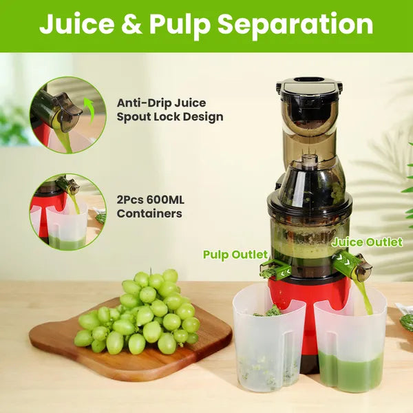 Cold Press Juicer Machine 300W Electric Slow Masticating Juicer For Whole Vegetable And Fruit With Reverse Function - view 2