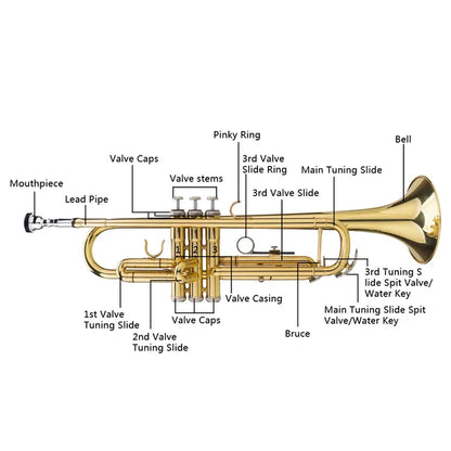 Drop B Tone Adjustable Trumpet Gloves Set Plaint Golden - view 5
