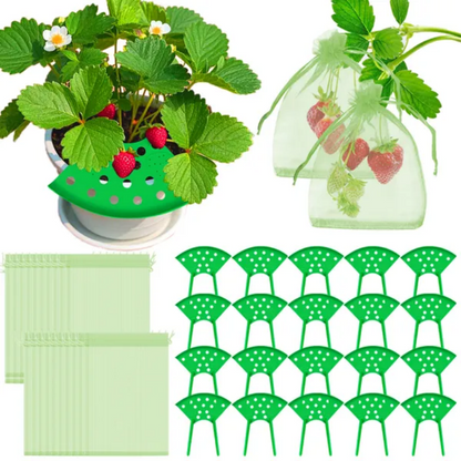 8Pcs Strawberry Planting Kit With 20Pcs Insect-proof Mesh Bag Reusable Strawberry Growing Racks Frame Protecting - view 2